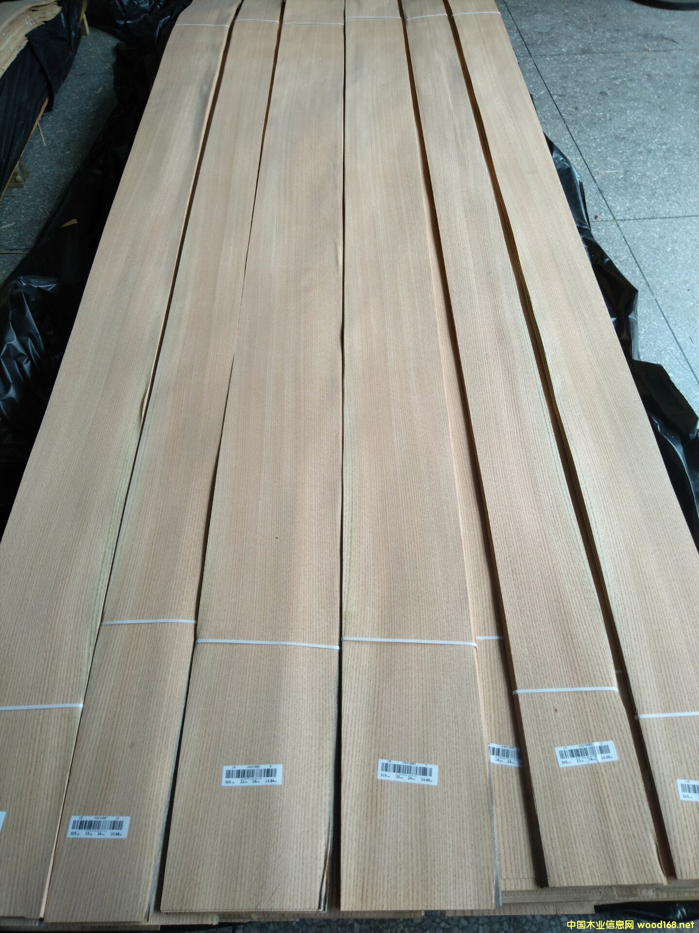 ����ֱ�y��Ԕ��(x��)��B