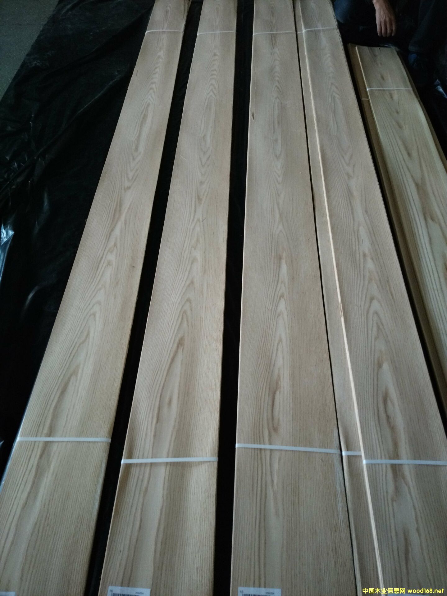 �t��ɽ�y��Ԕ��(x��)��B