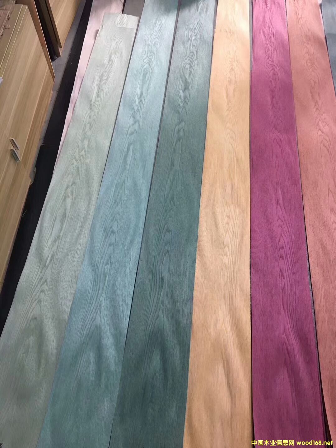 ȾɫľƤϵ�е�Ԕ��(x��)��B