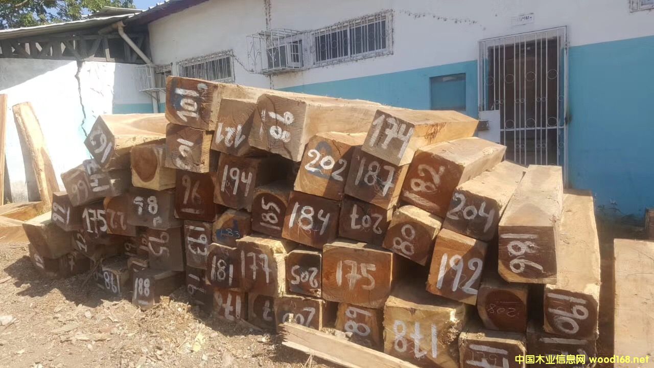 ��ľ����