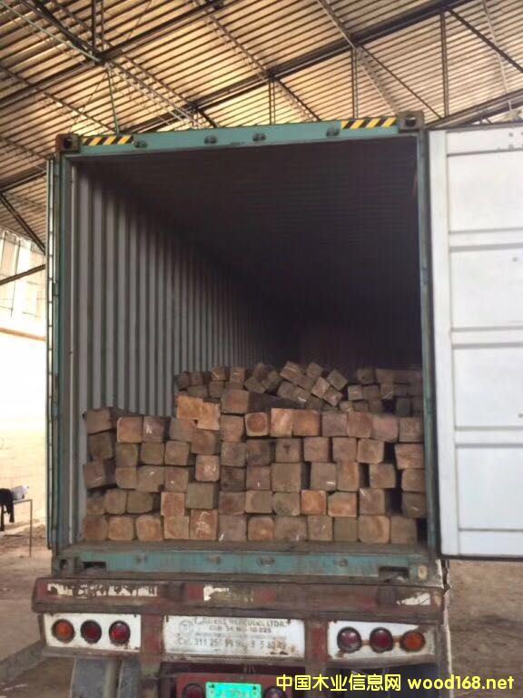 �炐�ȁ���ľ