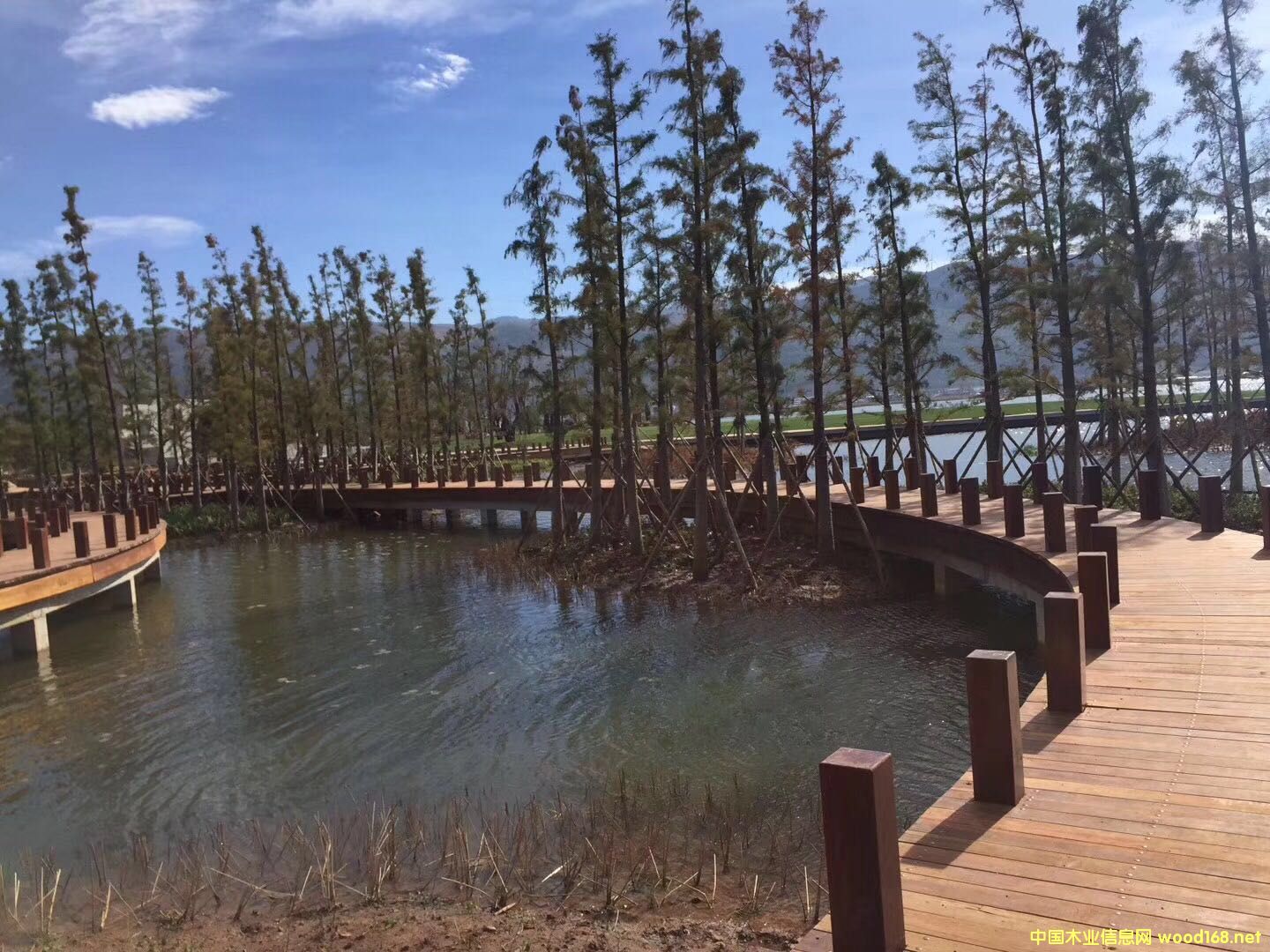 ӡ�Ფ�}���Ԕ��(x��)��B