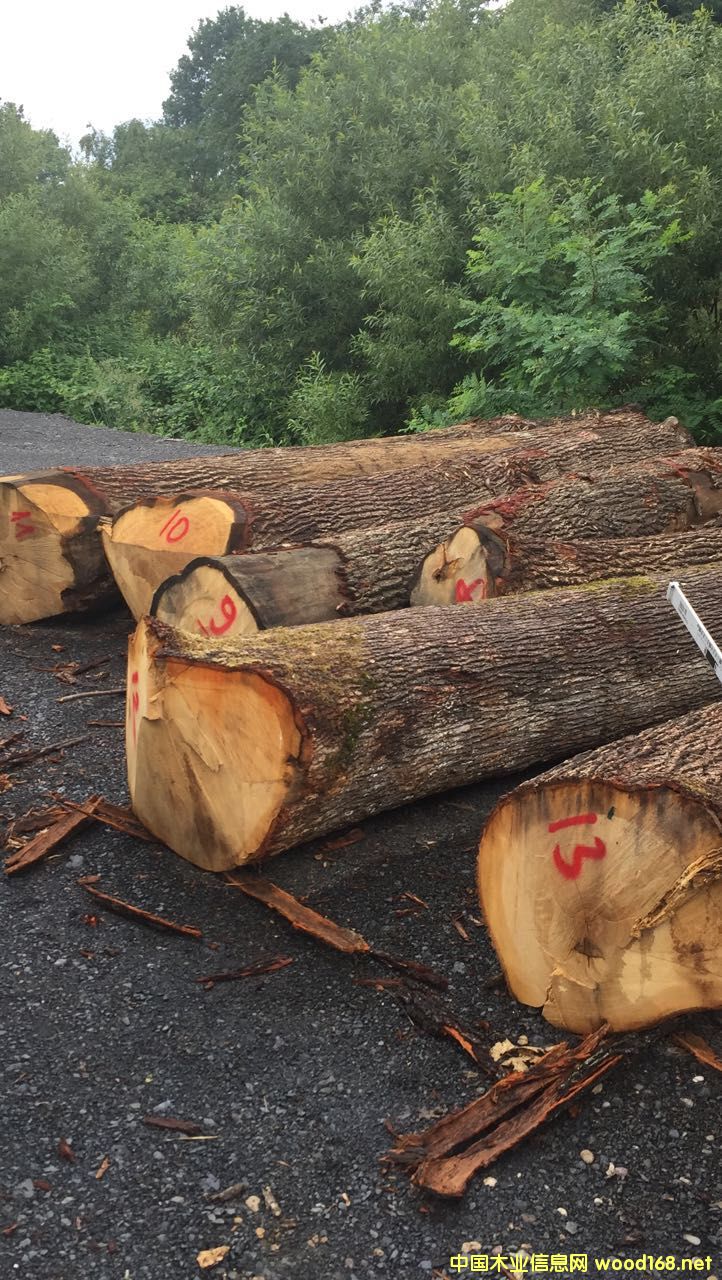 �W����ľԭľ��