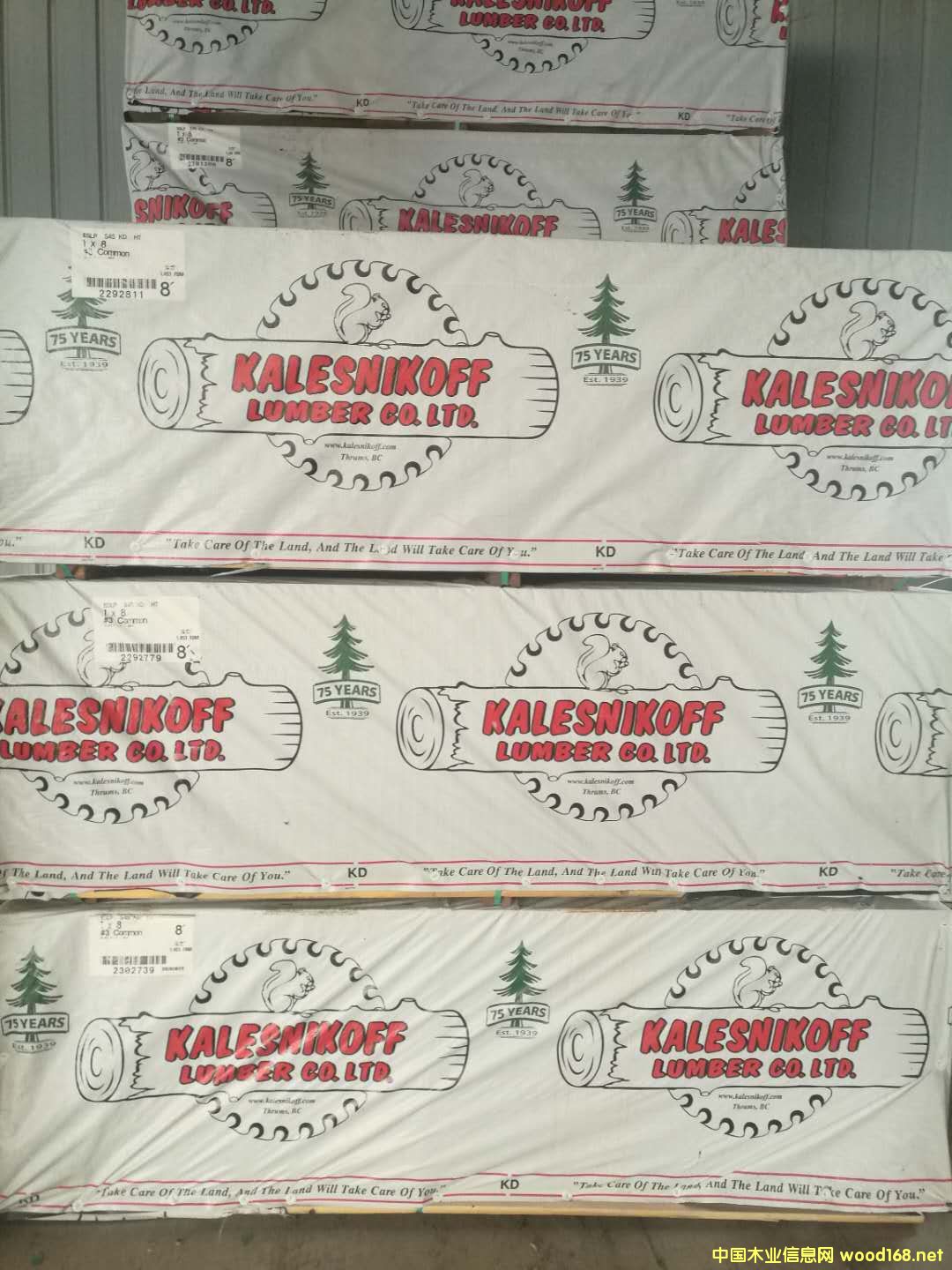 �����ɵ�Ԕ��(x��)��B