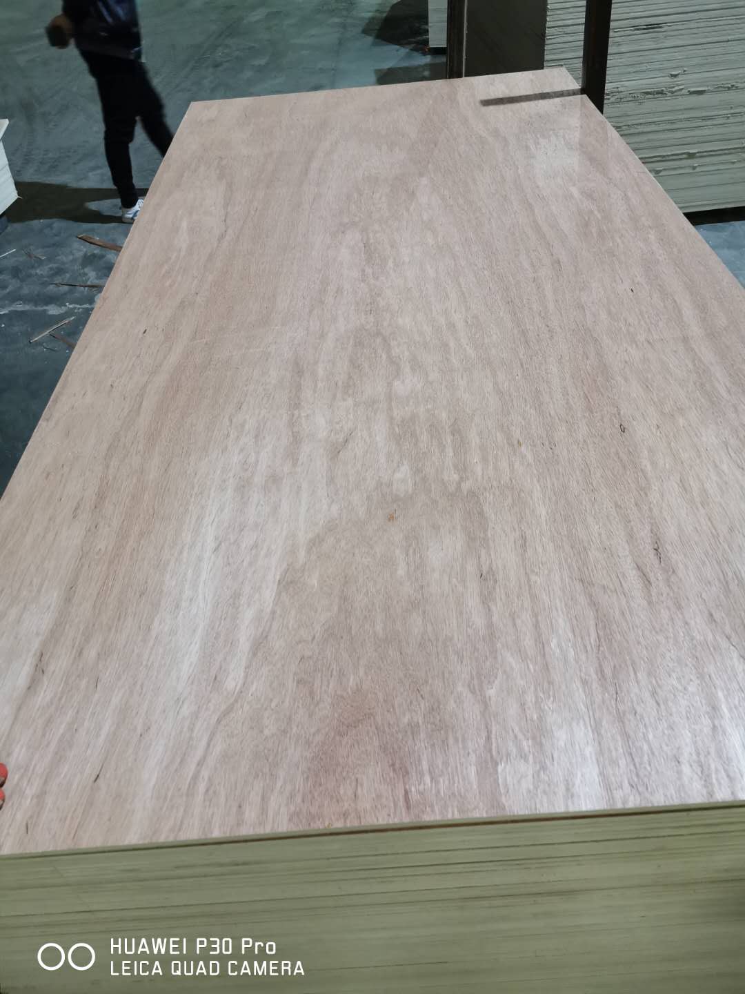 [��] �S��ֱ��12mm�Ҿ߰���b��ɳ�l(f��)����_�l���γ��Ͷ����z�ϰ�