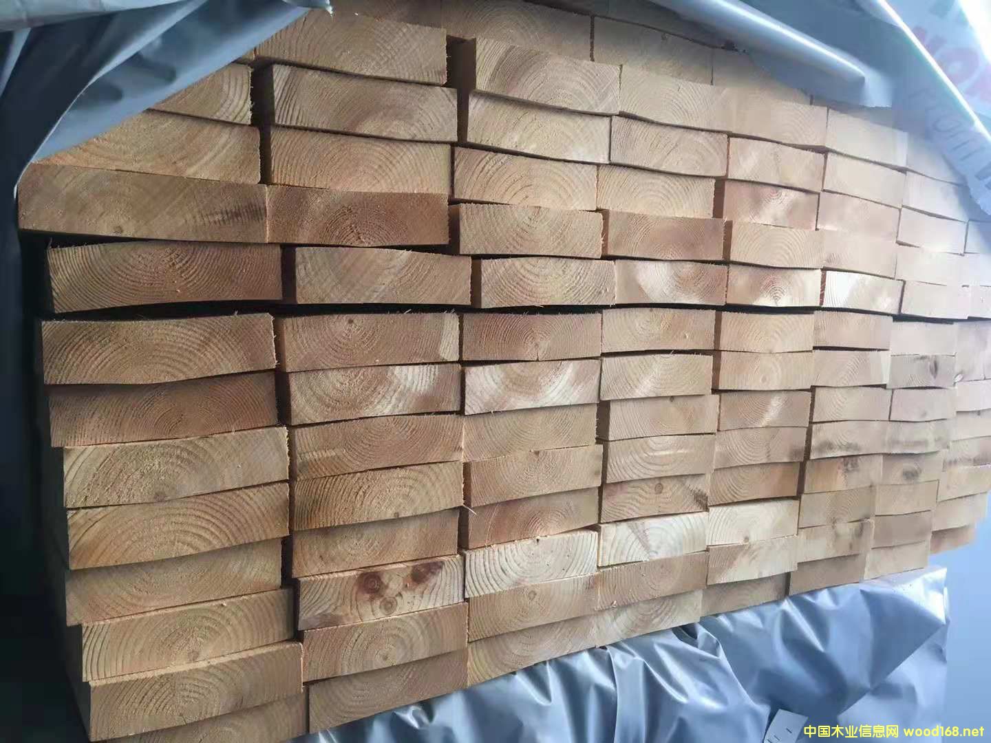 ������ ���ɰ��