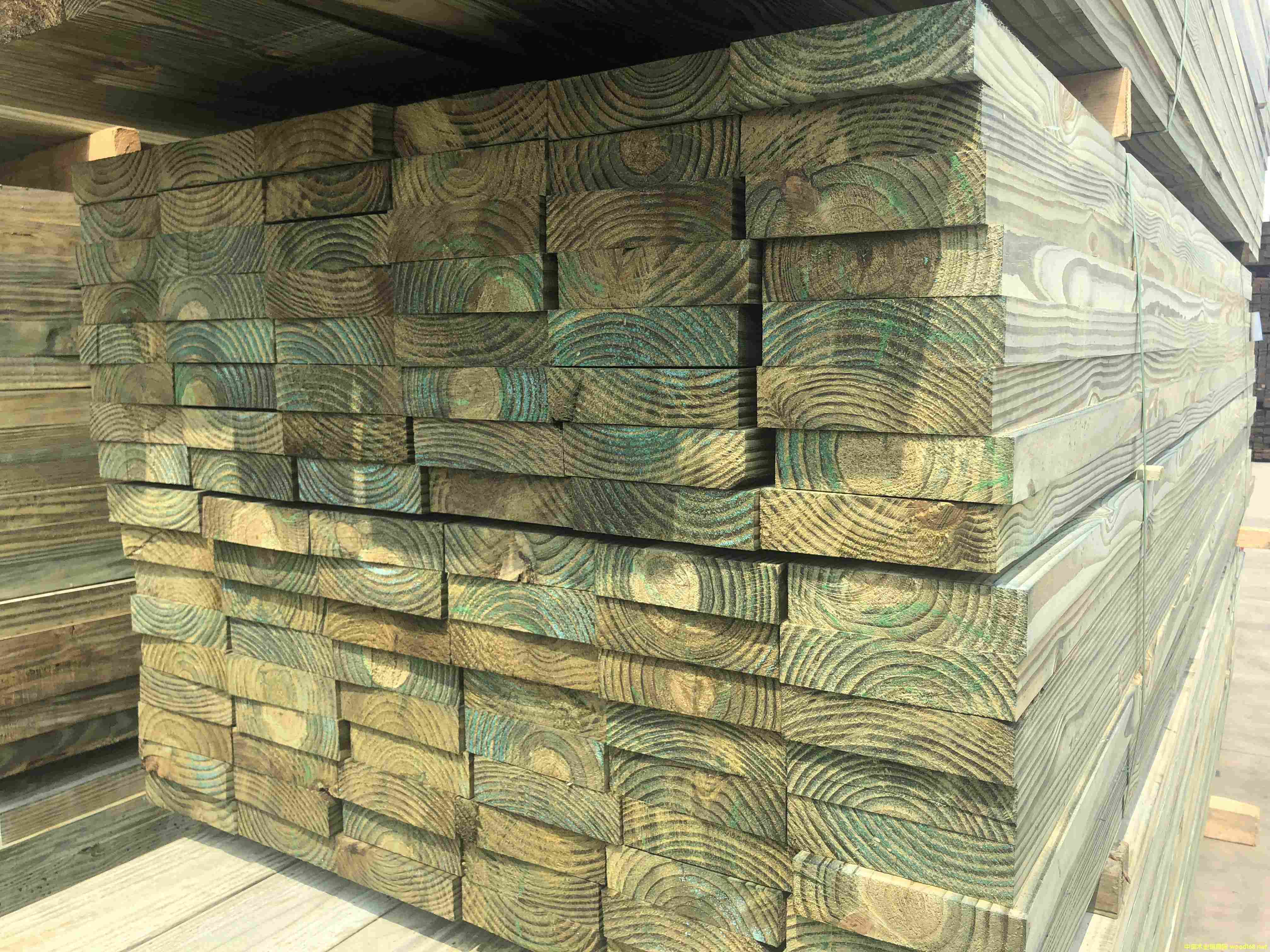 �Ϸ��Ɉ�r  �Ϸ��ɷ���ľ�S��