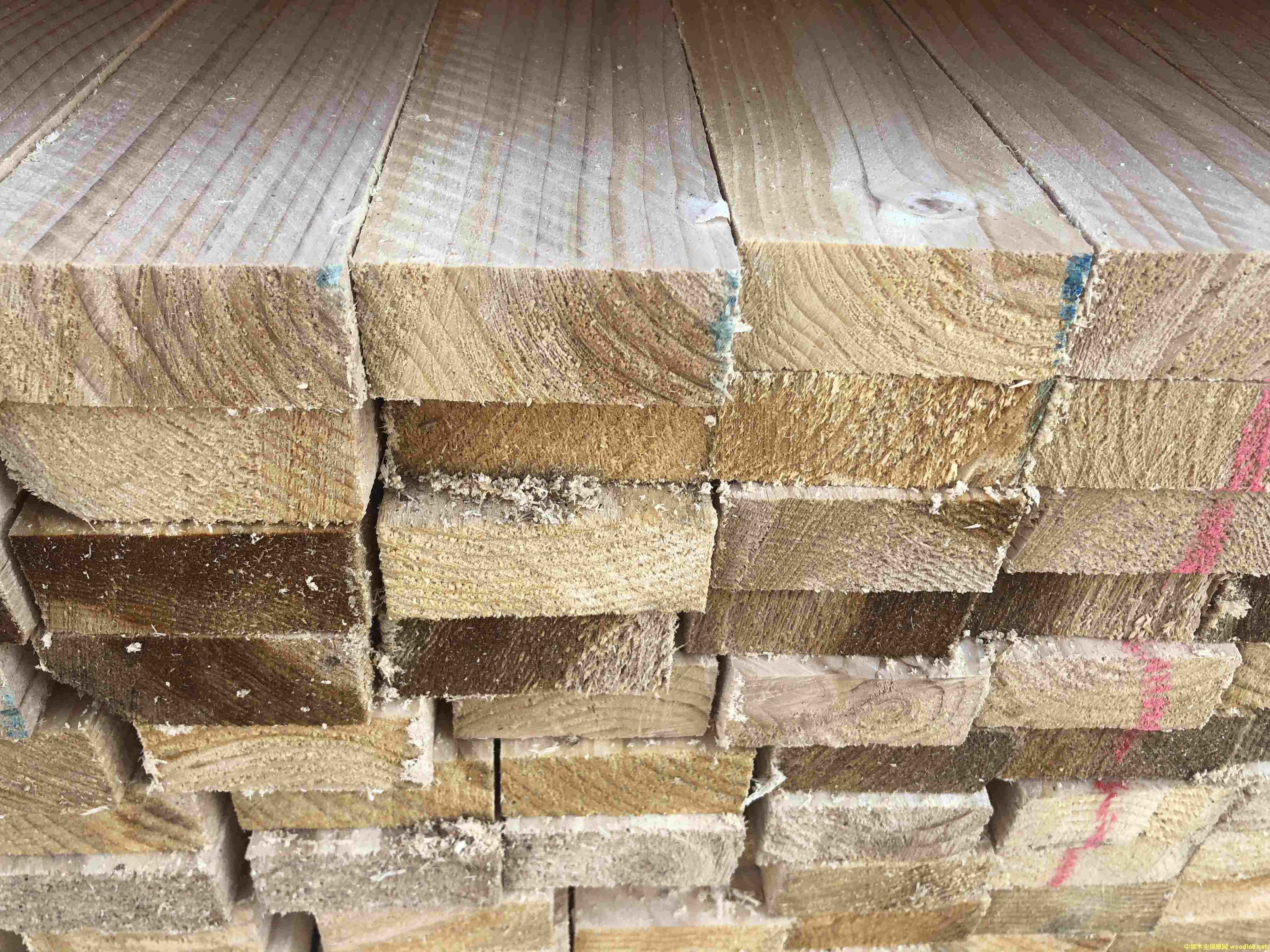 �Fɼ����ľ���S�� �Fɼ������l(f��)