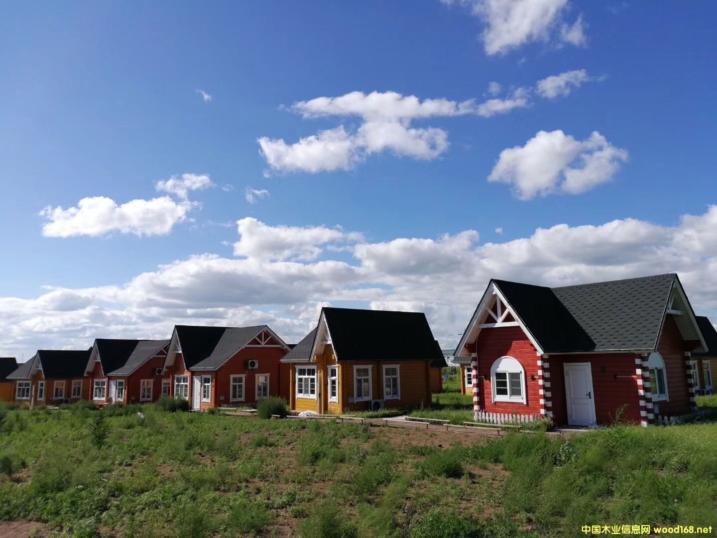 ľ�ݏS�� ľ�ݶ����X(qi��n)һƽ��