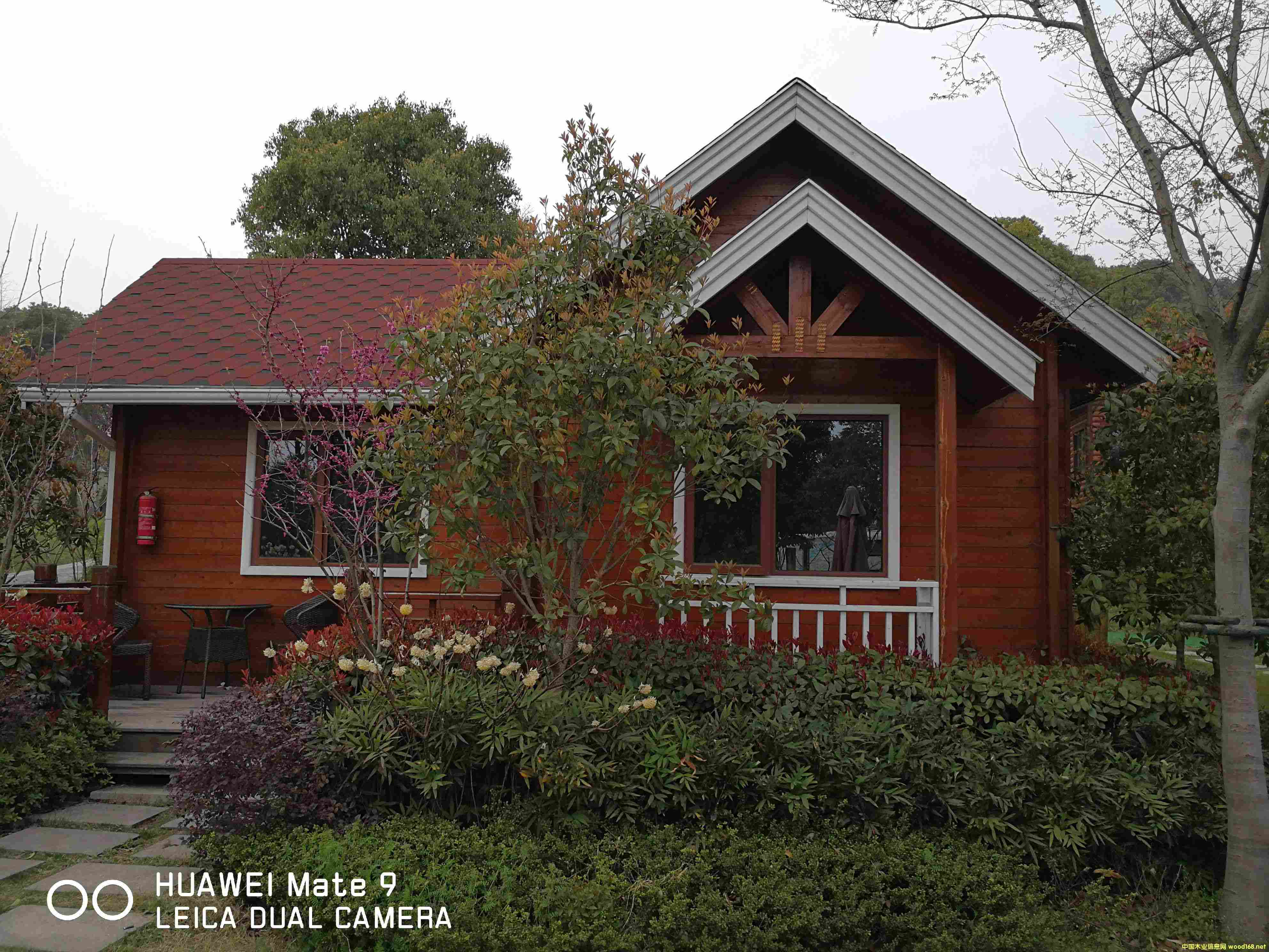 ľ�ݶ��ƏS�� 100ƽ������ľ����r(ji��)