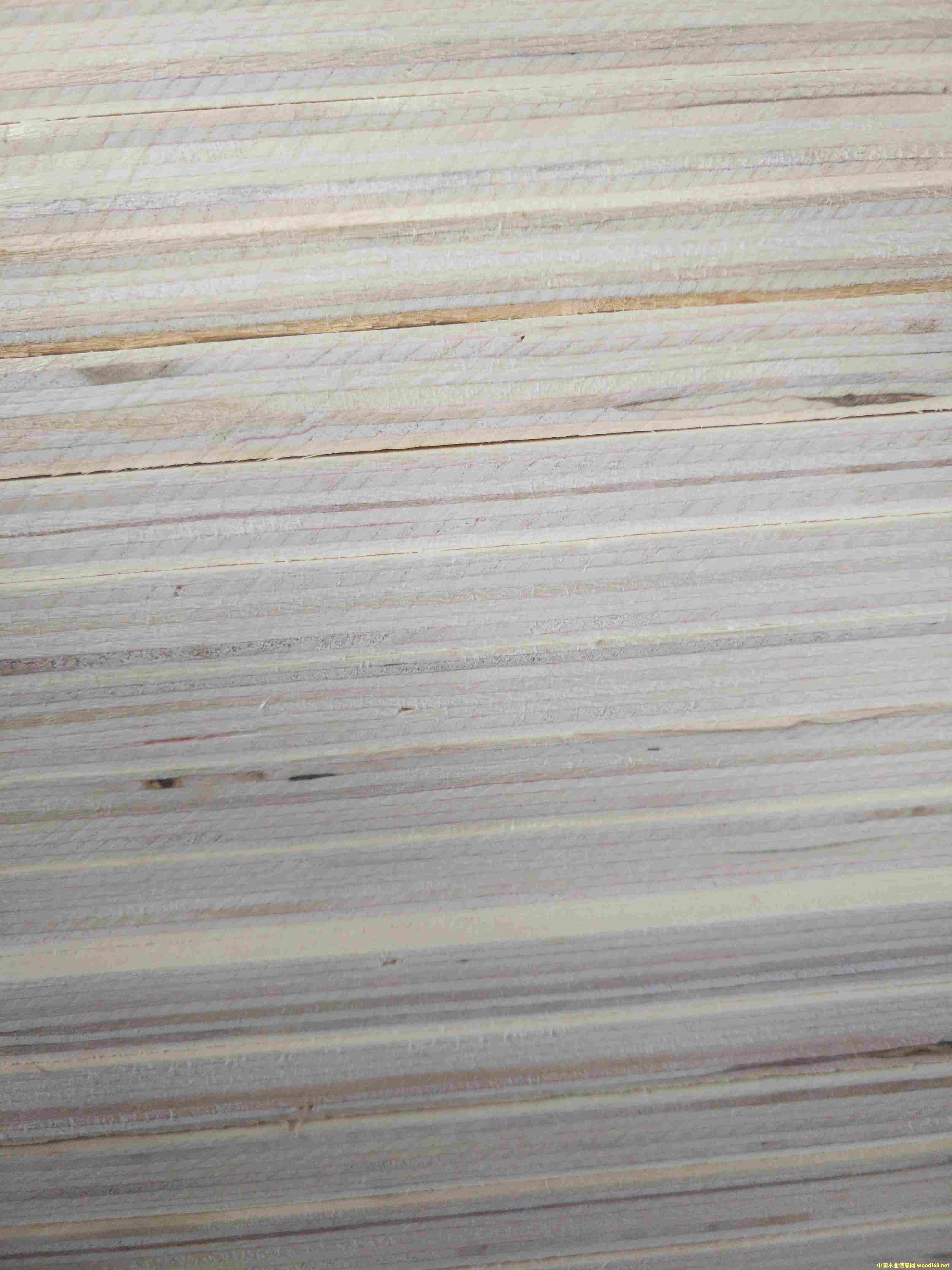 ȫ��11.5��ɳ�l(f��)��