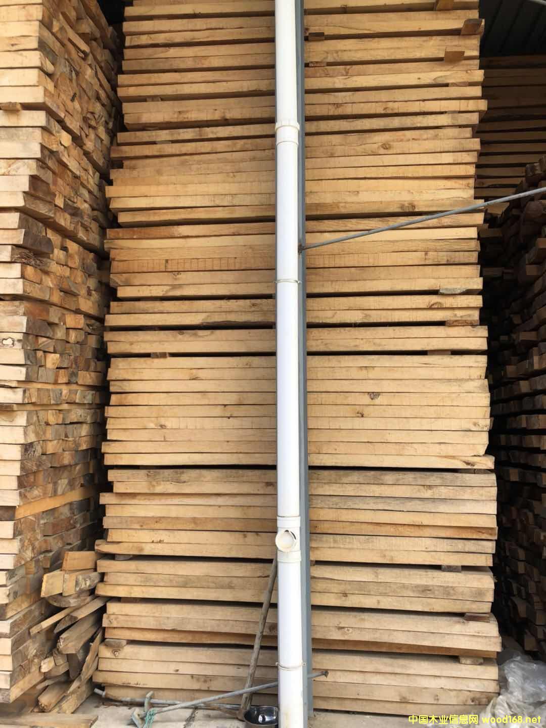 ����ľ��Ԕ��(x��)��B