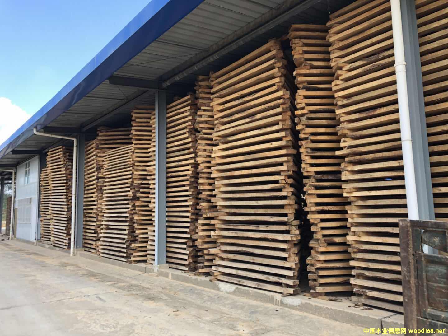 ����ľ䏲ĵ�Ԕ��(x��)��B