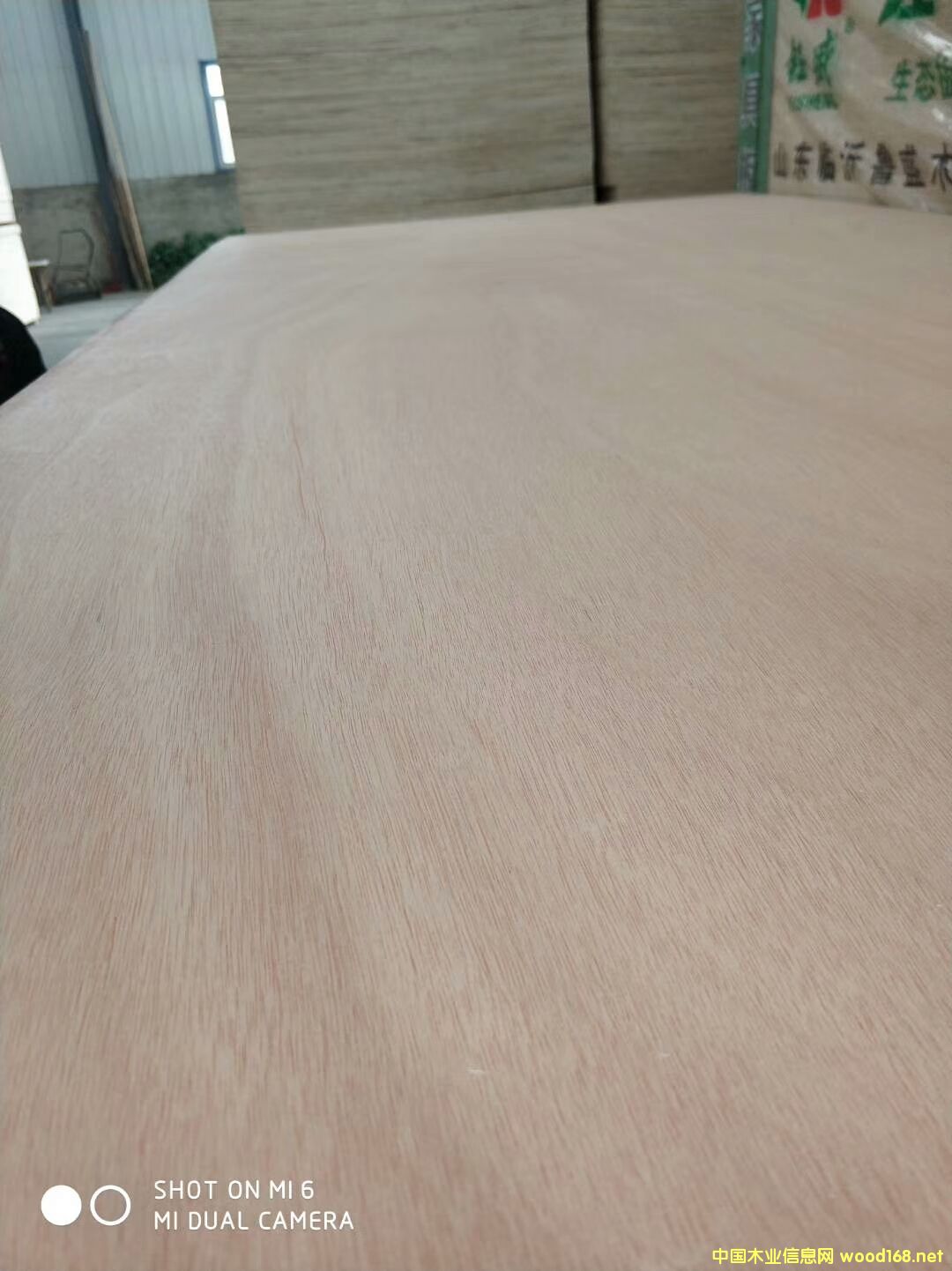 ���γ��������z�ϰ�