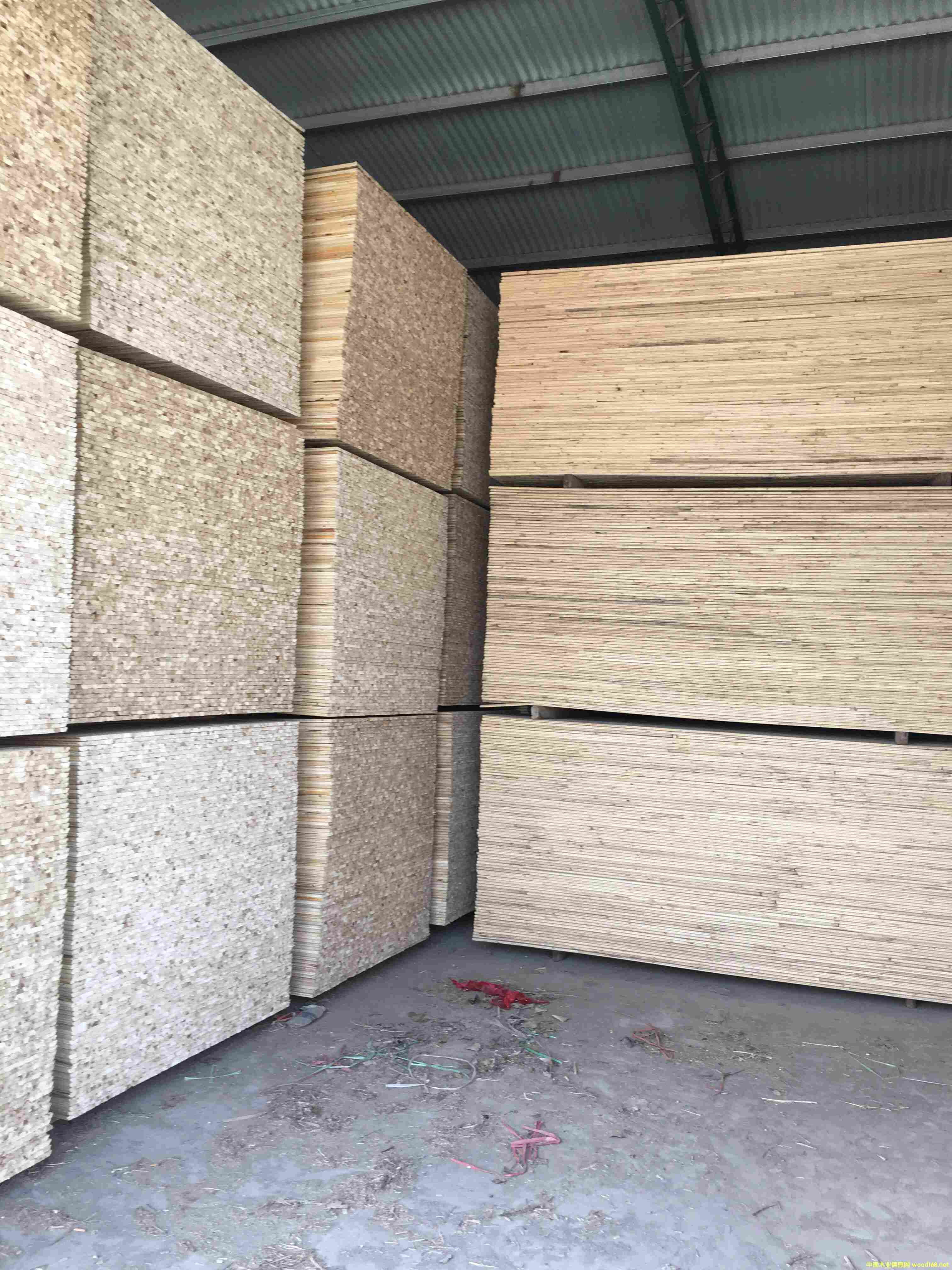 ��ľ�۲۰�о