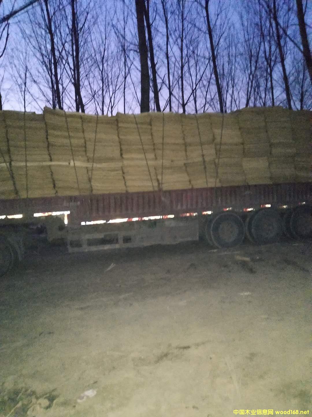 ��ĵ�Ԕ����B