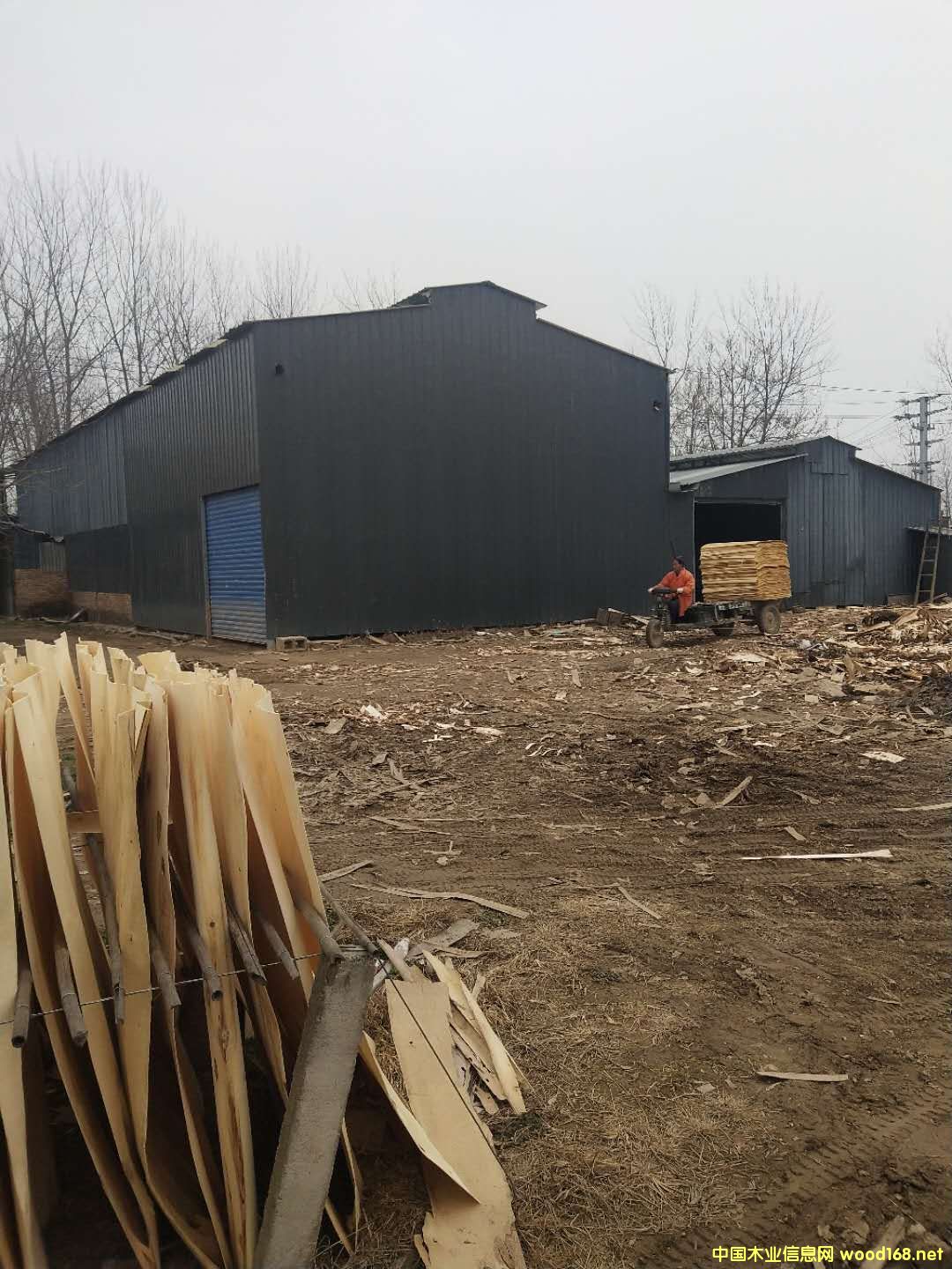 ��ĵ�Ԕ����B