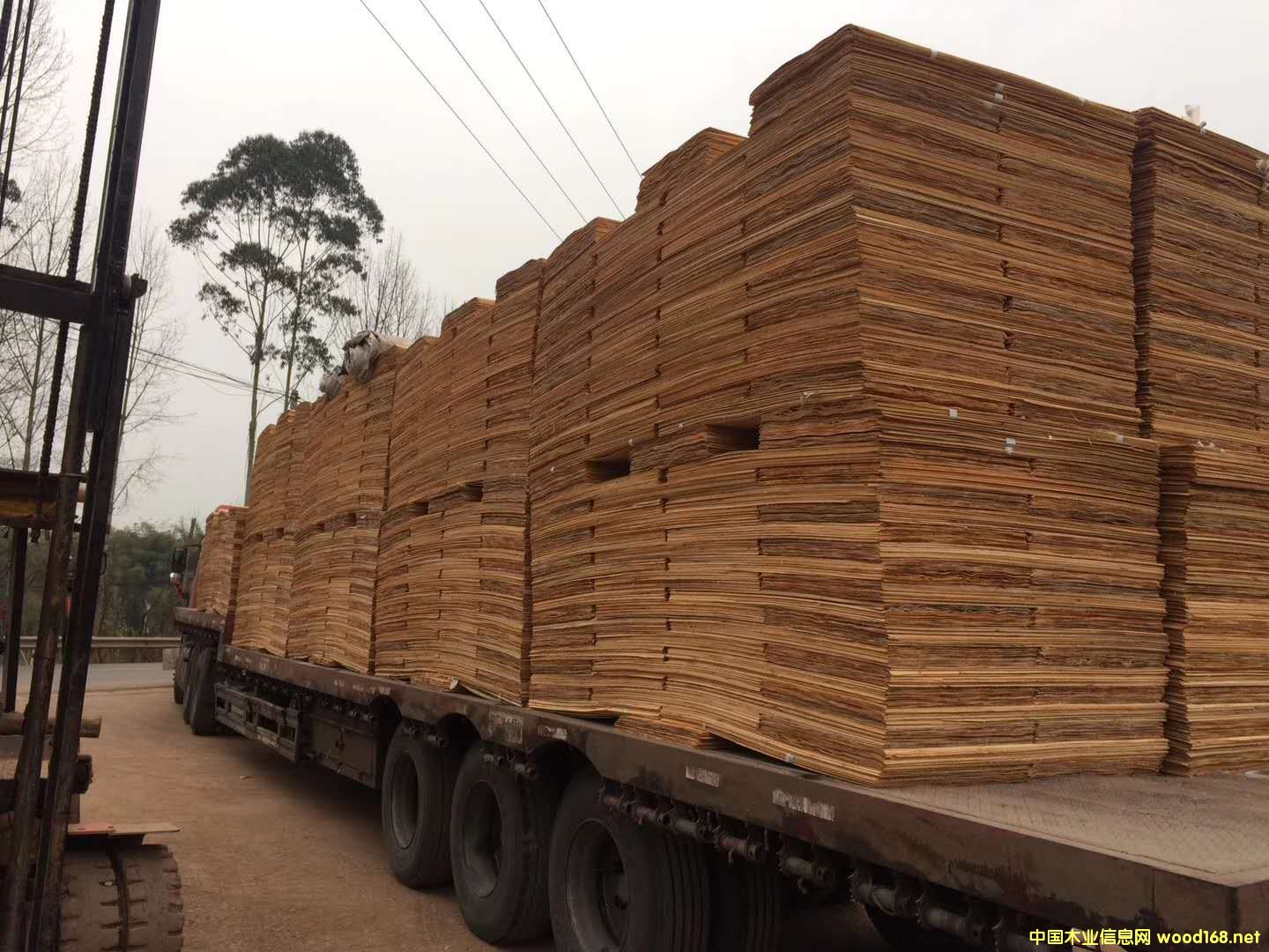 ��ĵ�Ԕ��(x��)��B