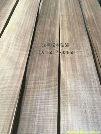 ��(y��u)�|(zh��)��Ȼ��޹��ľֱ�yľƤ