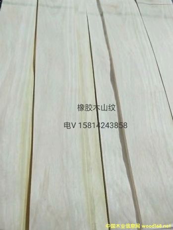 ��(y��u)�|(zh��)��Ȼ���zľɽ�yľƤ