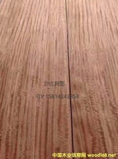 ��(y��u)�|(zh��)��Ȼɳ����ӰľƤ