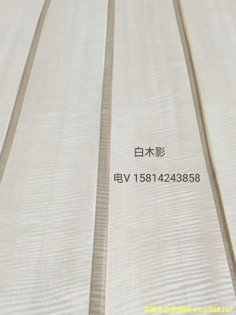 ��(y��u)�|(zh��)��Ȼ��ľӰľƤ