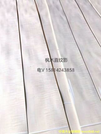 ��(y��u)�|(zh��)��Ȼ��ľֱ�yӰľƤ