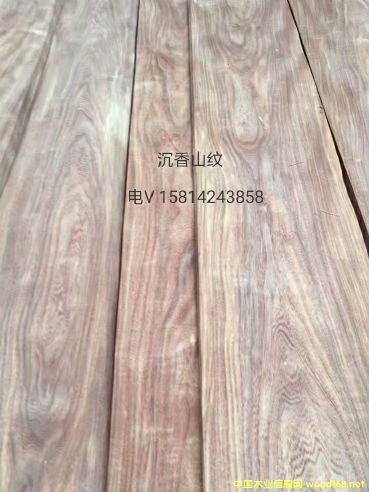 ��(y��u)�|(zh��)��Ȼ����ɽ�yľƤ