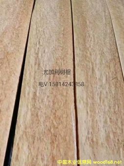 ��(y��u)�|(zh��)��Ȼ�ȼ�������ľƤ