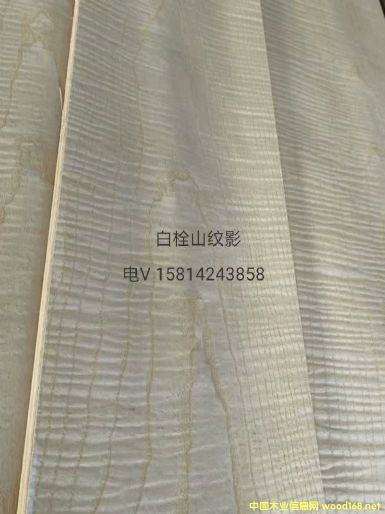 ��(y��u)�|(zh��)��Ȼ��˨ɽ�yӰľƤ