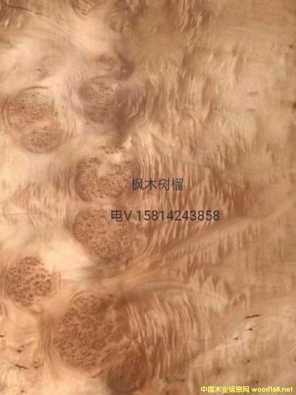 ��(y��u)�|(zh��)��Ȼ��ľ��(sh��)��ľƤ