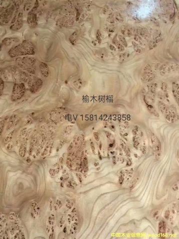 ��(y��u)�|(zh��)��Ȼ��ľ����ľƤ