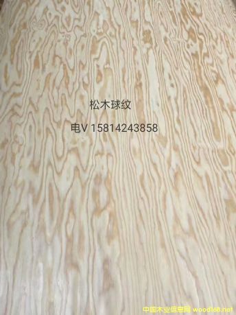 ��(y��u)�|��Ȼ��ľ��yľƤ