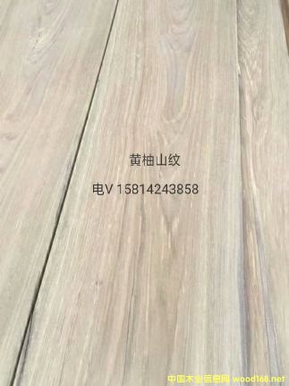 ��(y��u)�|(zh��)��Ȼ�S��ɽ�yľƤ