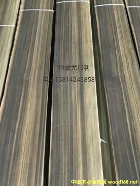 ��(y��u)�|��Ȼ��޹�ȼ���ľƤ