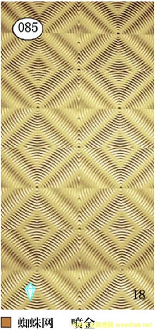 ֩��W(w��ng)���Ͳ��˰�