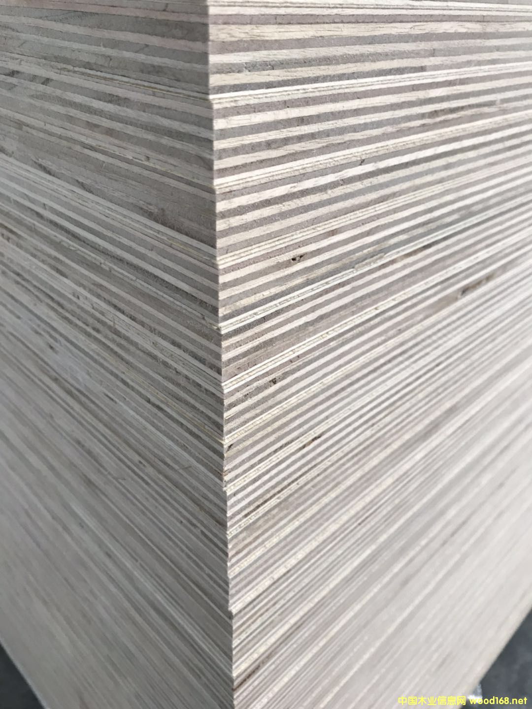 [��] 5-25����ӼҾ߰������������B(t��i)��