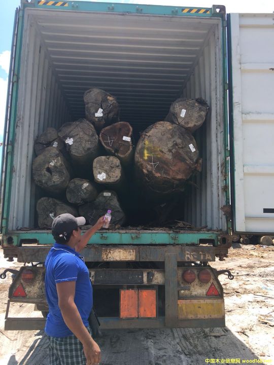 �����S�u����u��