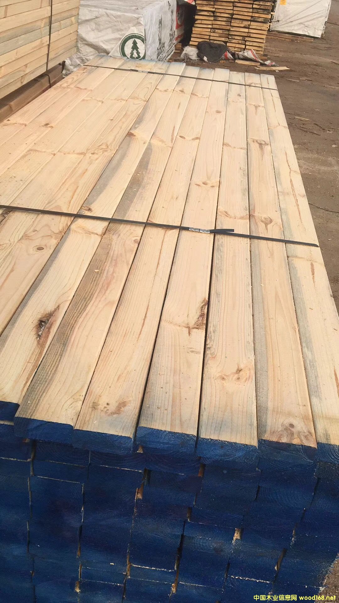 �S��ֱ�N������ľ������ľ��ľ������Ž��������b�ĵ�Ԕ��(x��)��B