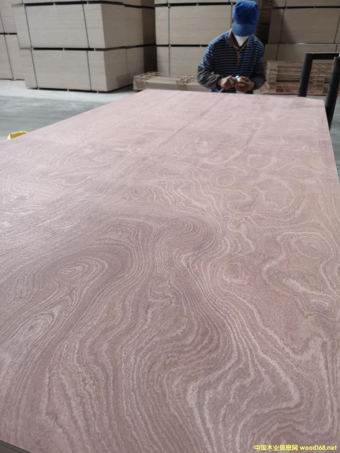 板材的詳細(xì)介紹