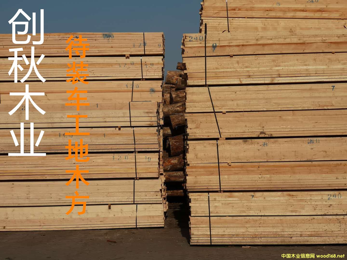 �c���鿴����ľ���Ŵ�DƬ