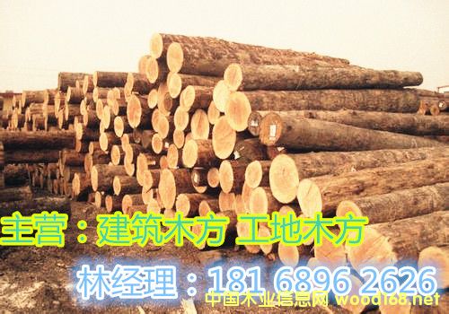 �c���鿴����ľ���Ŵ�DƬ