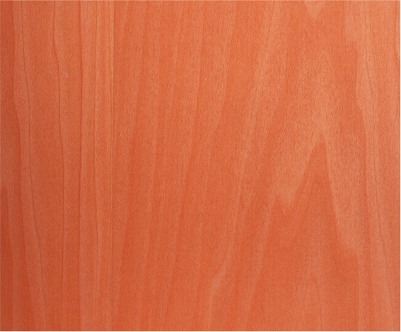 ���R�˳�Ⱦɫľ�����Ԕ��(x��)��B