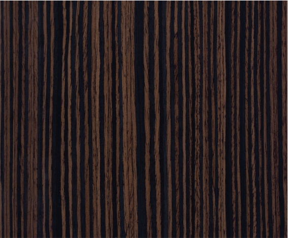 ������֮ï�����̴ľ����