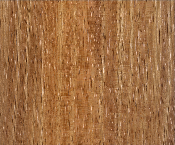 ������֮ï�F��ľľ����