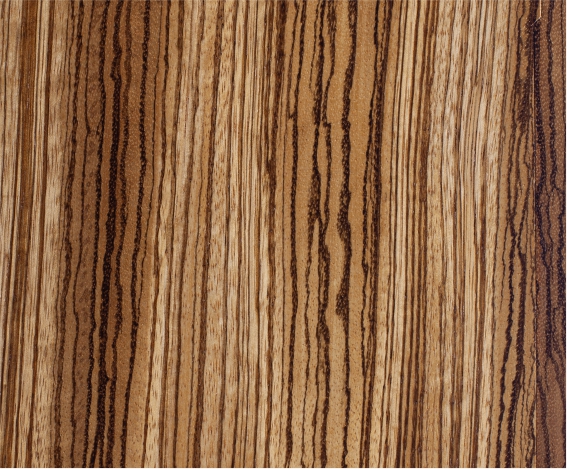 ������֮ï��Ȼ���Rľľ����