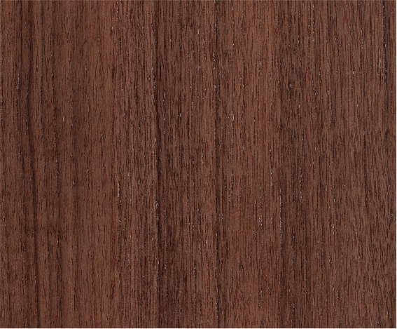 ������֮ï�ں���ֱ�yľ����