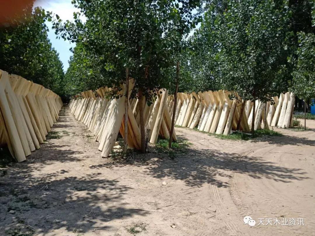  ��Ԕ��(x��)��B