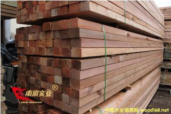 �����tѩ�ɏS��   �tѩ�ɰ�ăr��