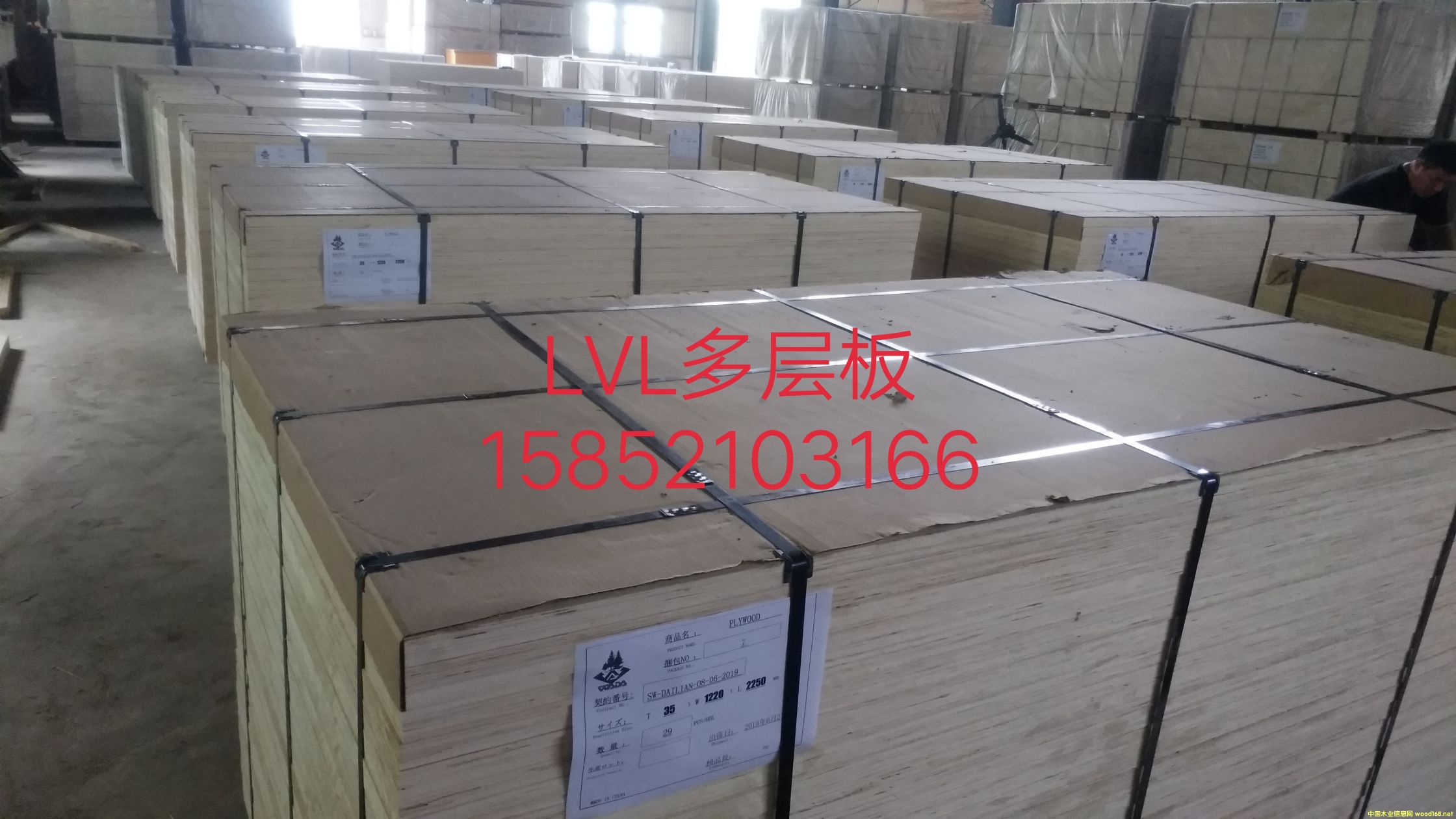 LVB�����Tо��